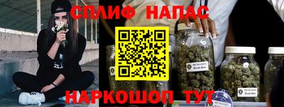 гидра Ставрополь