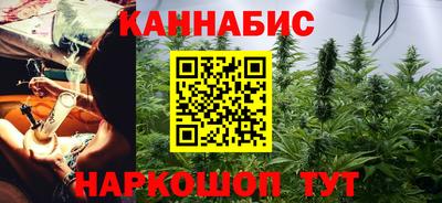 гидра Ставрополь