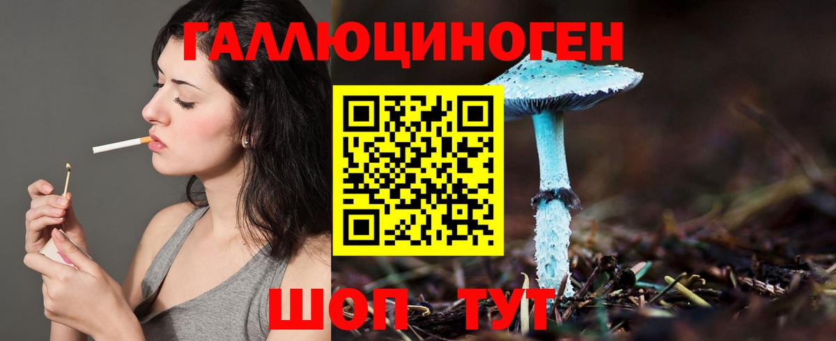 Псилоцибиновые грибы ЛСД Новороссийск